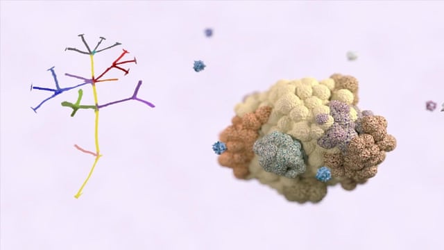 Cancer tumour genetics reveal possible treatment revolution