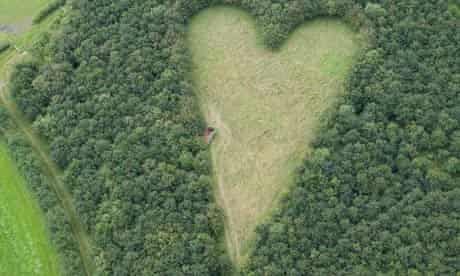 giant heart formed with 6000 oak trees