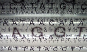 Newborn Dna Sequencing Finds Actionable >> Human Genome Sequencing The Real Ethical Dilemmas Science Newborn Dna Sequencing Finds Actionable >> Human Genome Sequencing The Real Ethical Dilemmas Science