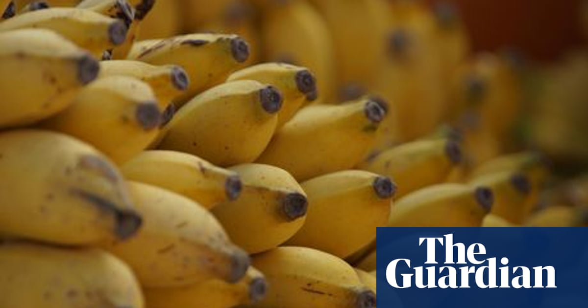 Save A Banana Day Embracing The Imperfect Banana Live Better The Guardian