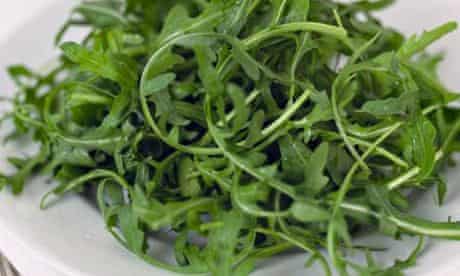 Grow your own: as plate of rocket leaves