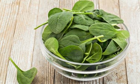 Grow your own: glass bowl of fresh baby spinach on a grunge white painted wood background