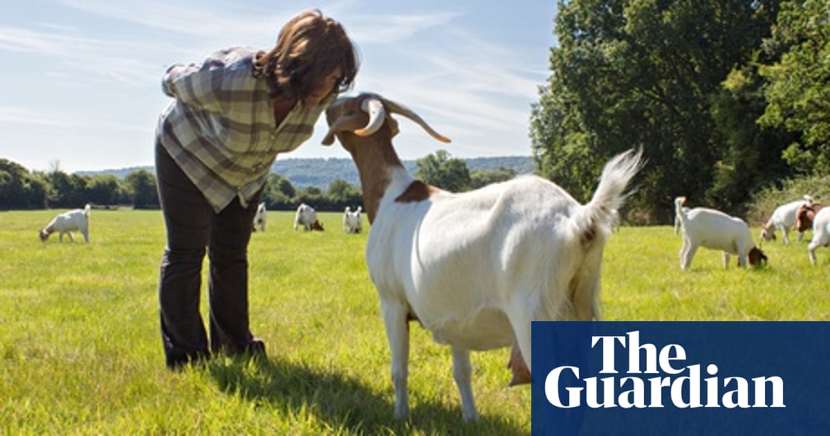 Great Tasting Goat Meat Starts With Welfare Food The Guardian Great Tasting Goat Meat Starts With Welfare Food The Guardian