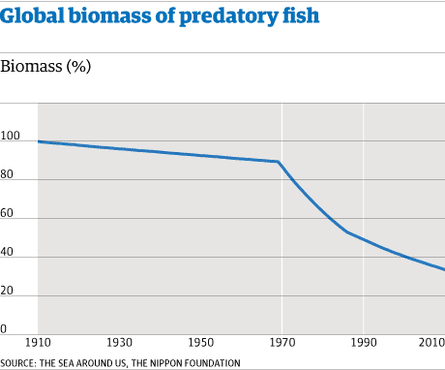 Global biomass of predatory fish