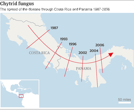 Mapa - propagação da doença de chytrid na América Central