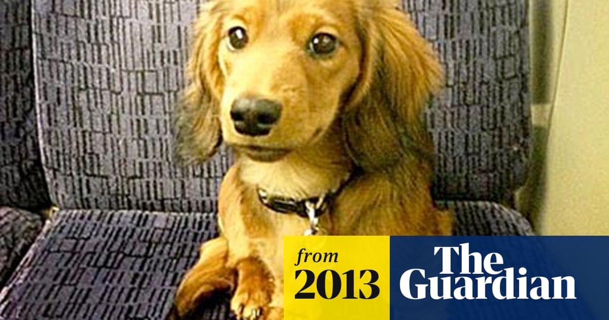 Tatler's dog, Alan, dies in bizarre revolving door