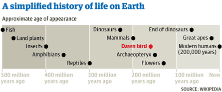 Timeline of life on Earth
