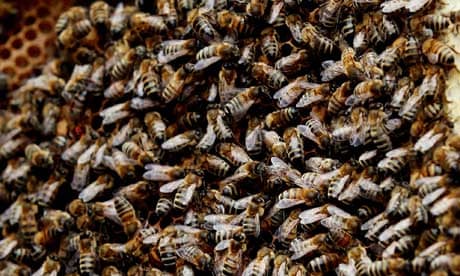 A Better Way to Discuss the Birds And Bees Health.Usnews: Essential Tips