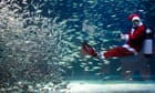 A diver dressed in a Santa Claus costume swims with sardines in Seoul 