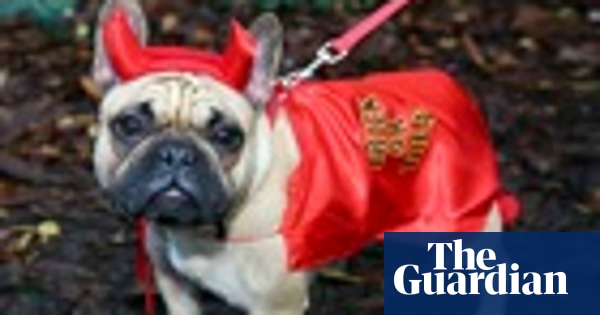 Halloween Dog Parades In Pictures Life And Style The Guardian