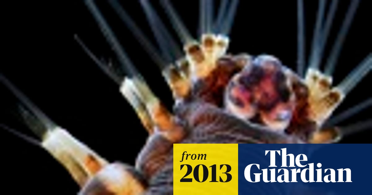 Life in close-up: photomicrography competition winners - in pictures