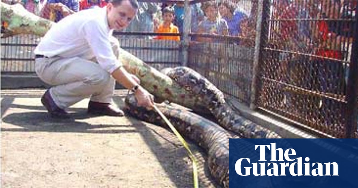 Stay Still Will You Animal Welfare The Guardian