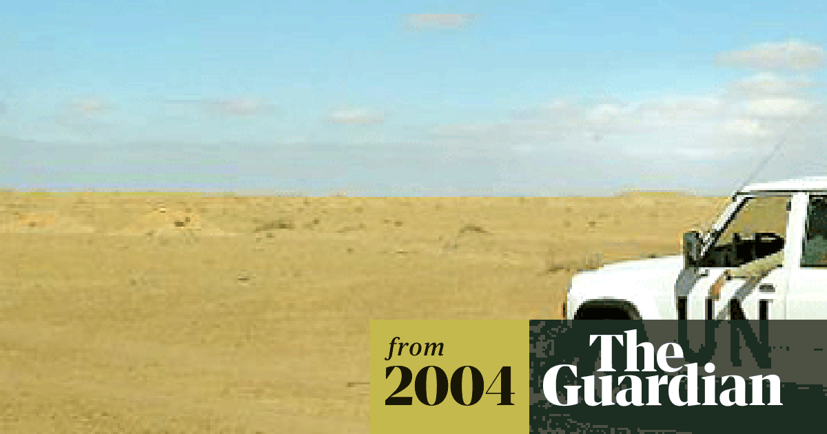 www.theguardian.com