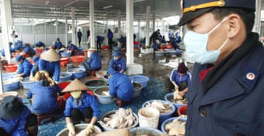 A Vietnamese veterinary officer supervises an authorized poultry slaughterhouse in Hanoi in an effort to contain the spread of bird flu. Photograph: Hoang Dinh Nam/AFP/Getty Images 