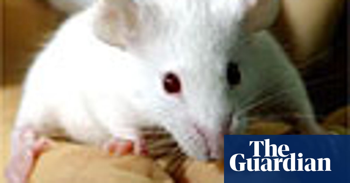 The mice that roared | The business of research | The Guardian