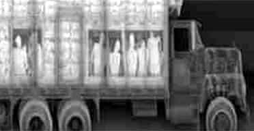 X-ray image of a truck carrying illegal immigrants at a British channel port