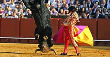 A bull gets its horns stuck in the sand at the Maestranza bullring in Seville