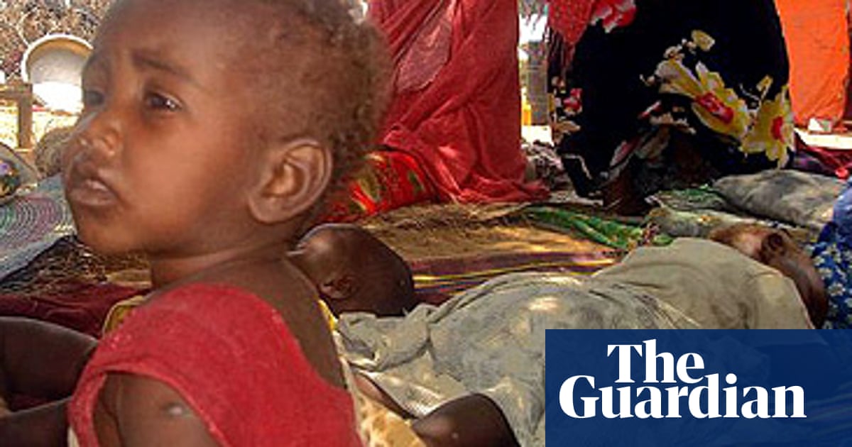 Us Blames Eritrea Over Somalian Insurgency World News The Guardian 