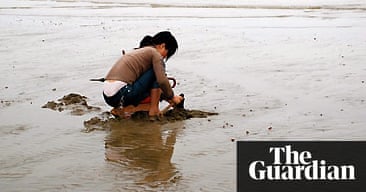 Digital Tens Be 660 Manual Meat Digital Tens Be 660 Manual Meat