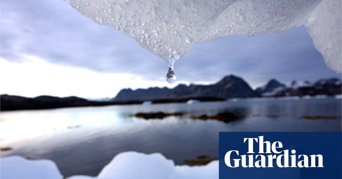 50 People Who Could Save The Planet Environmental Activism The