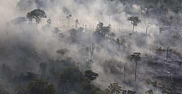 Burning rainforest in Para state, Brazil