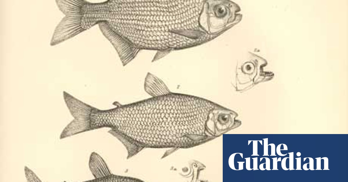 On the Origin of Species: Chapter III, Struggle for Existence | Charles ...