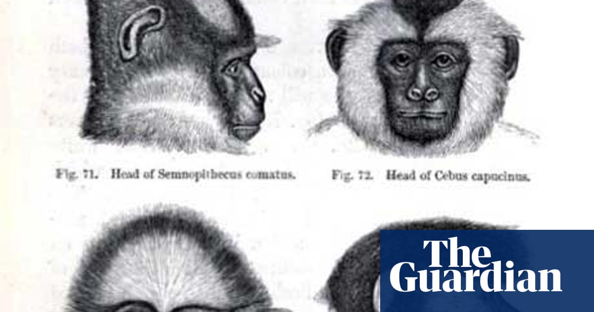 先行研究まとめ 変化できる者が生き残る 例の偽ダーウィン語録1963 先行研究まとめ 変化できる者が生き残る 例の偽ダーウィン語録1963