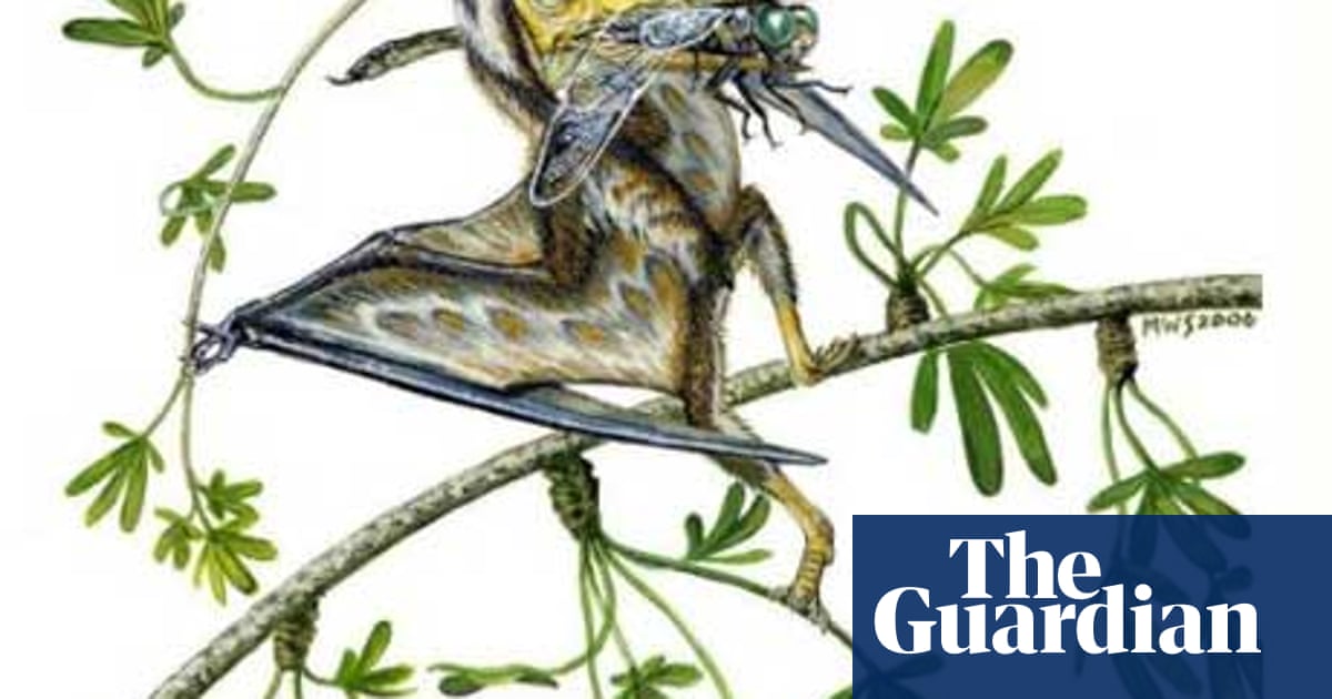 Tiny pterosaurs untimely end