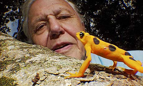 David Attenborough in a still from his forthcoming television series 'Life In Cold Blood'