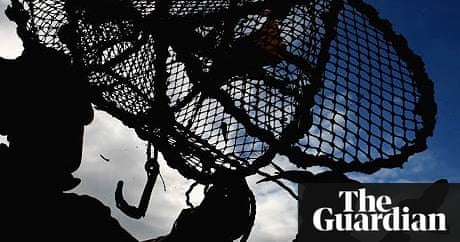 ebook Electrospray mass spectrometry : fundamentals, instrumentation, and applications ebook Electrospray mass spectrometry : fundamentals, instrumentation, and