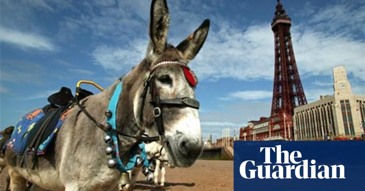 Readers recommend: songs about animals – results | Pop and rock | The Guardian Readers recommend: songs about animals – results | Pop and rock | The Guardian