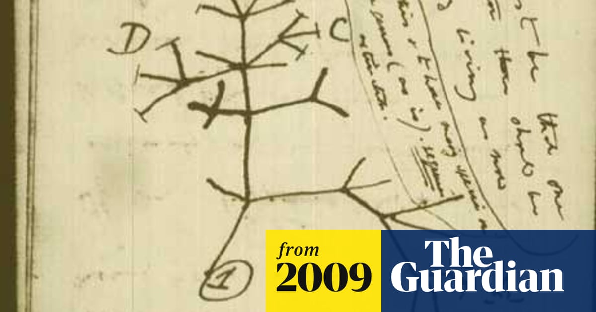 charles darwin was wrong about the tree