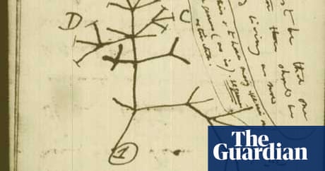 tree darwin charles evolution