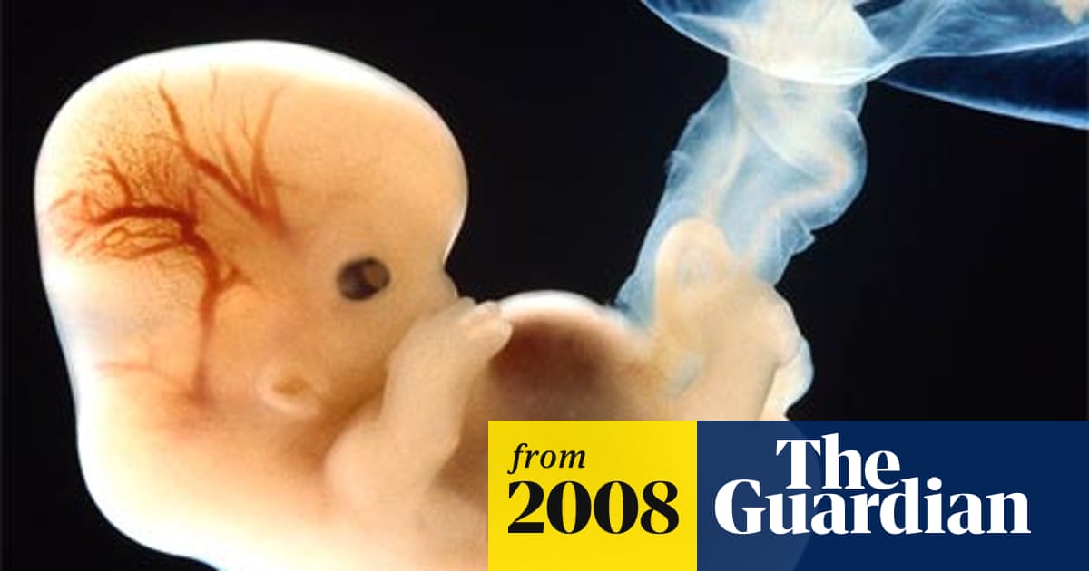 Can an Embryo Survive a Medical Abortion? Shocking Truth Revealed