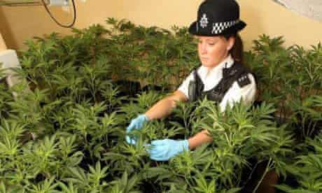 PC Chloe Snell, 21, examines a suspected cannabis factory in a house in Dagenham, East London