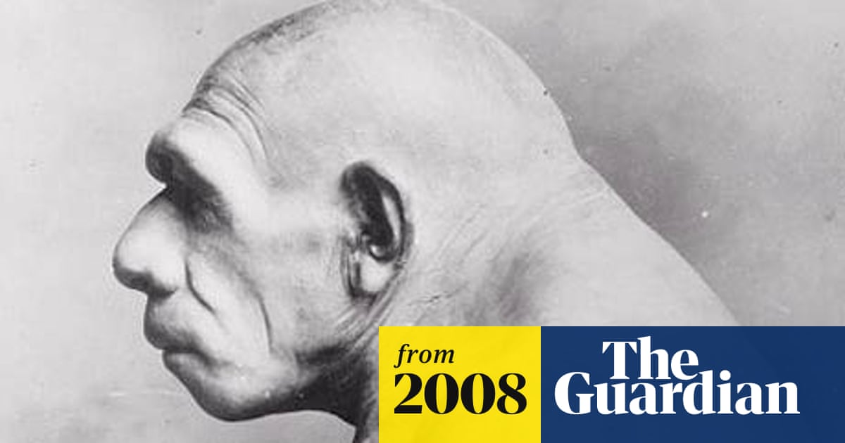 neanderthals not stupid just