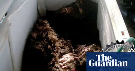 Find love in australia Find love in australia