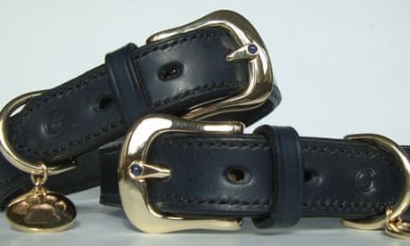 Wholesale front closure buckle For All Your Intimate Needs