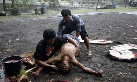 Men hold down a spectator in a trance after he watched a traditional dance, Indonesia, February 24, 2008