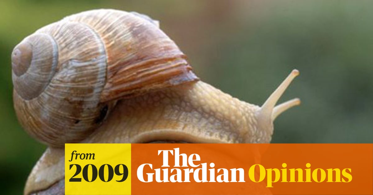 Lopsided gene that proves humans are distant cousins of the humble snail |  PZ Myers | The Guardian