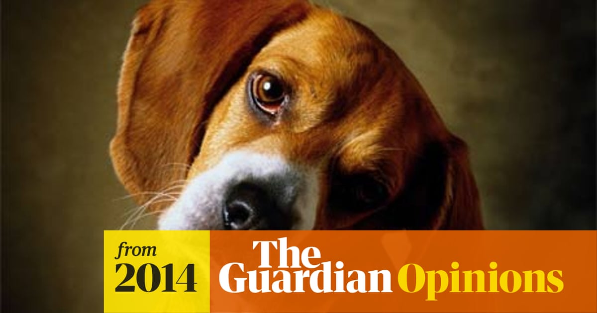 Are pets bad for the environment? | Guardian sustainable business | The  Guardian