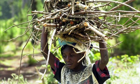  A girl carries pine branches she has torn from trees in Haiti's La Visite Park
