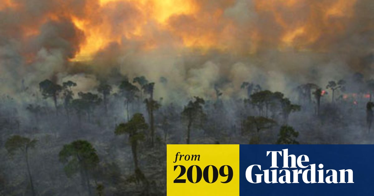 Electronics, cars, fashion, collectibles, coupons and more The tropics on fire: scientist's grim vision of global warming | Climate change | The Guardian