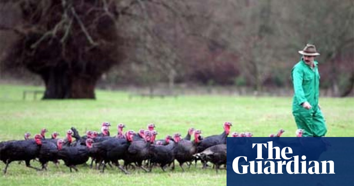 Where To Buy Meat For Christmas Life And Style The Guardian