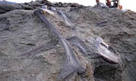 Scientists in China say they have discovered the worlds largest dinosaur fossil site