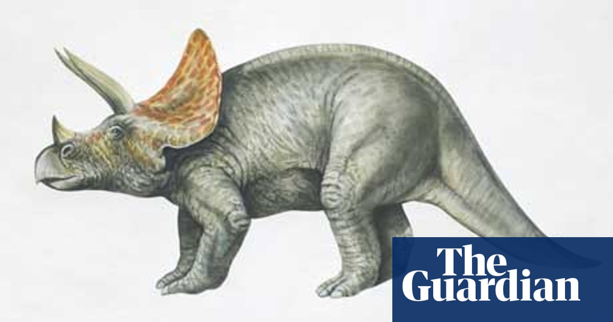 Dinosaurs: Two legs or four? | Dinosaurs | The Guardian