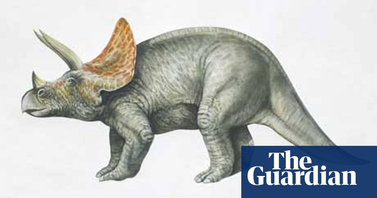 Dinosaurs Two Legs Or Four Dinosaurs The Guardian Dinosaurs Two Legs Or Four Dinosaurs The Guardian