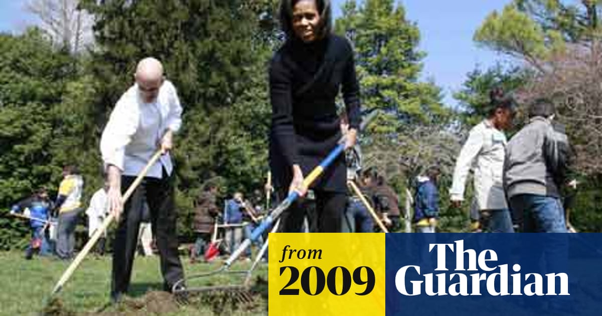 Lead Found In Michelle Obama S White House Vegetable Garden Us