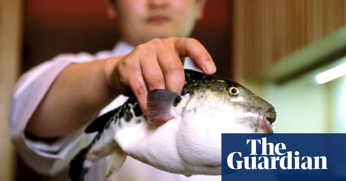 How To Prepare The World's Deadliest Dinner | Food | The Guardian