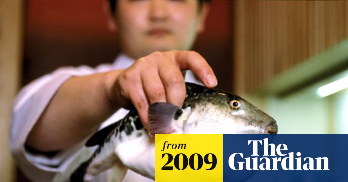 How to prepare the world's deadliest dinner | Food | The Guardian How to prepare the world's deadliest dinner | Food | The Guardian
